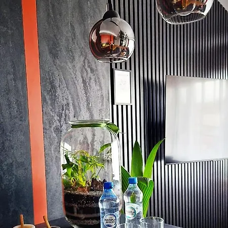 Rock & Roll - Apartamento